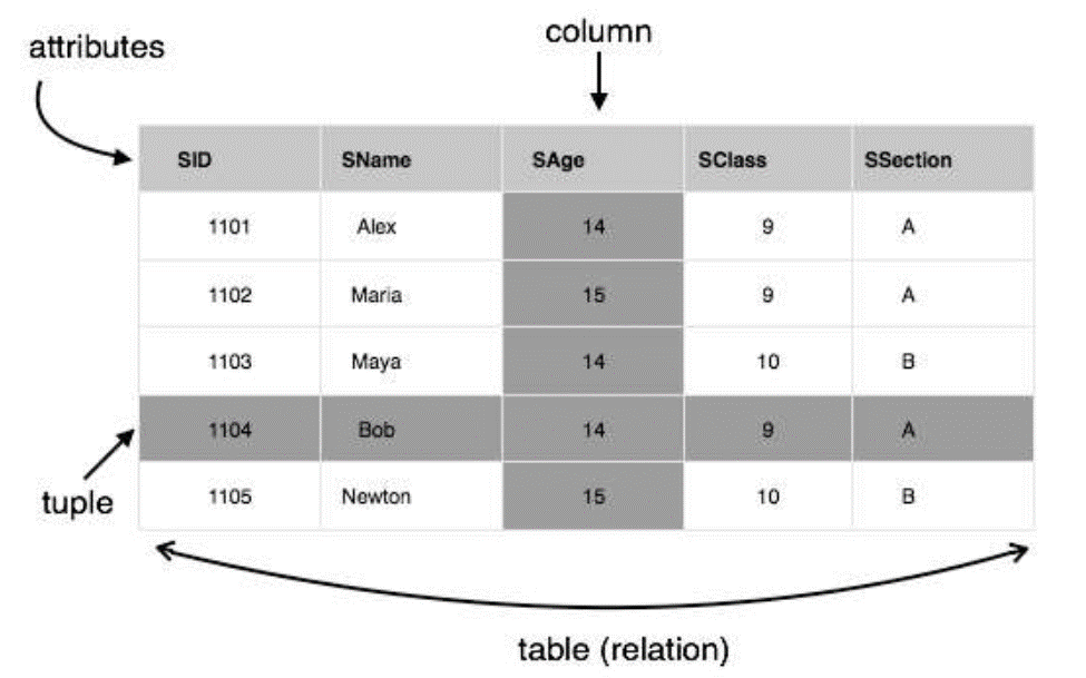 Html5 encoding. What is Relational database. Object Relational model. Attribute in English. Database tuple.